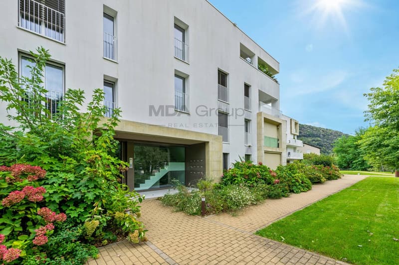 Appartement - Barbengo (2)