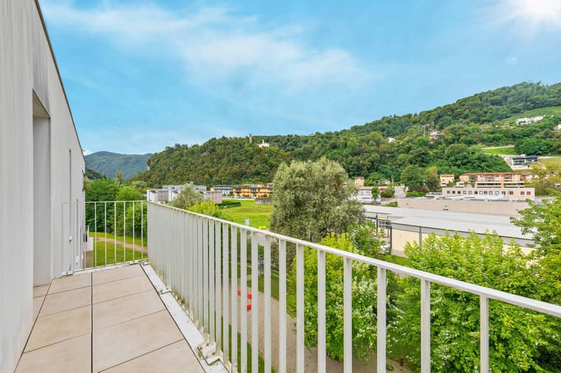 Appartement - Barbengo (12)
