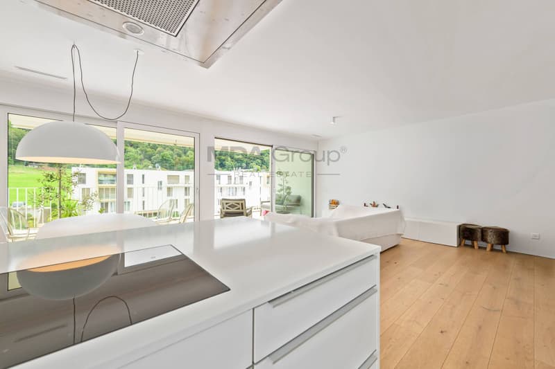Appartement - Barbengo (6)