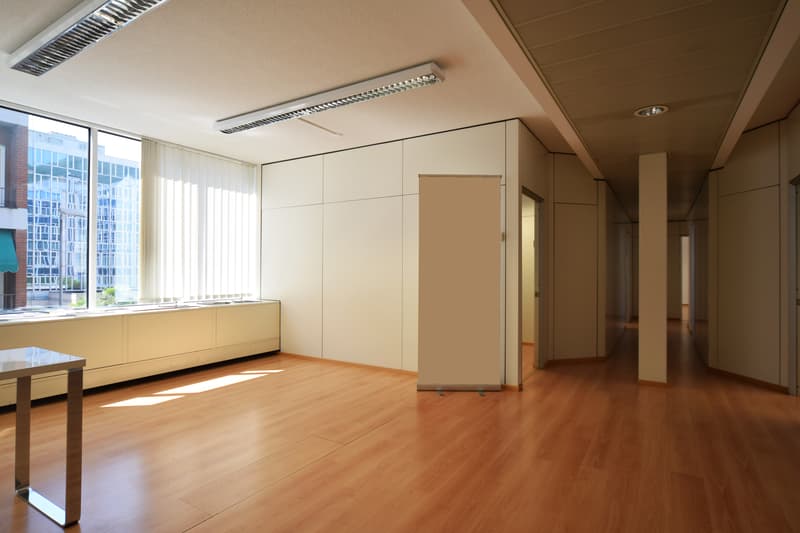 Bureau - Lugano (4)