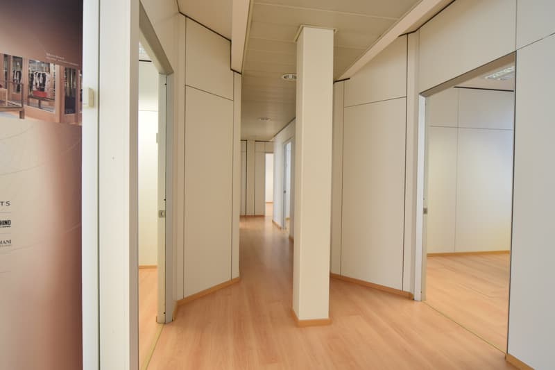 Bureau - Lugano (3)