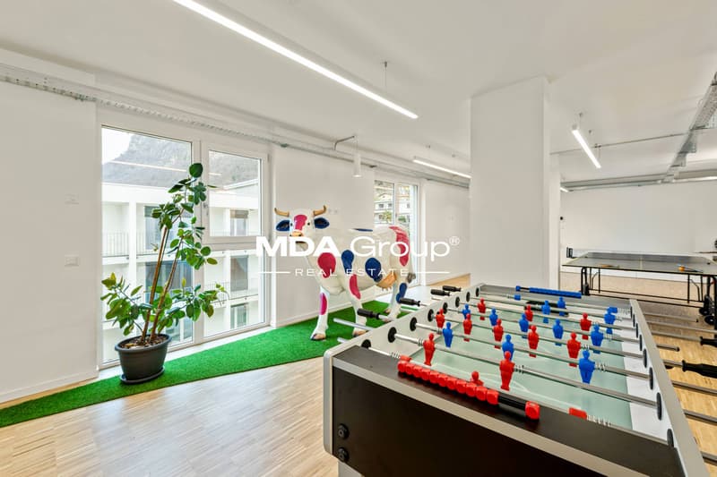 Office - Mendrisio (9)