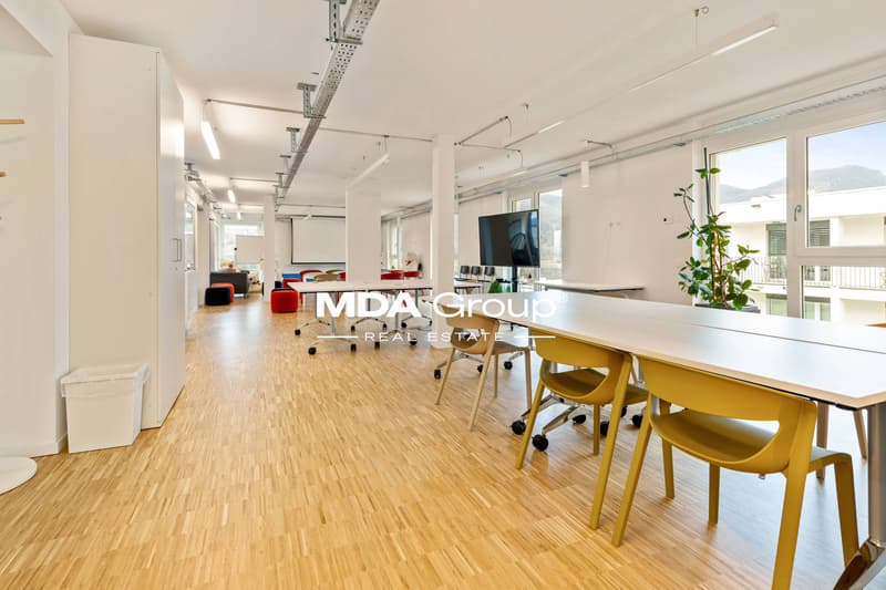 Office - Mendrisio (4)