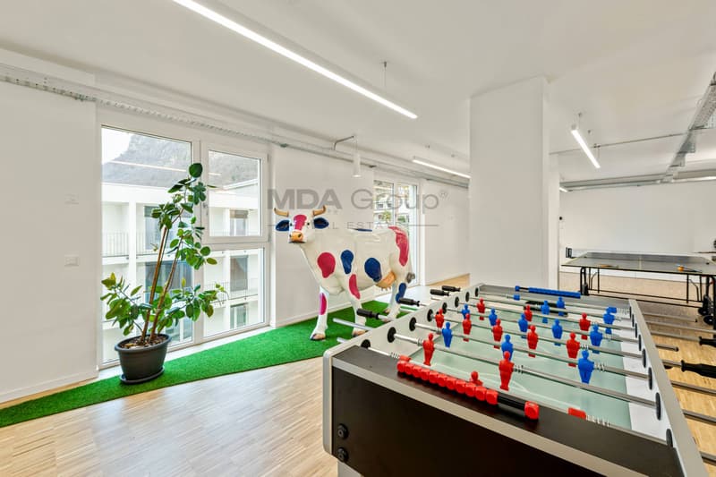 Ufficio - Mendrisio (9)