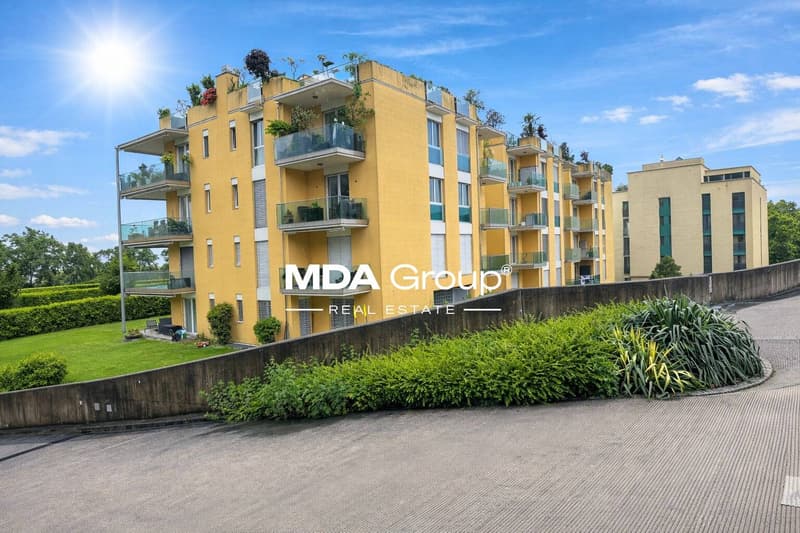 Appartement - Pregassona (2)