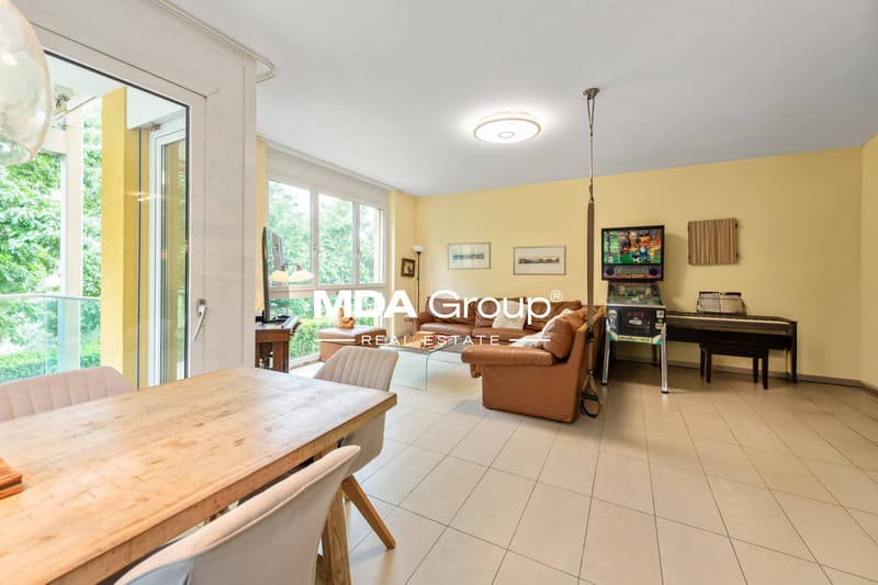 Appartement - Pregassona (5)