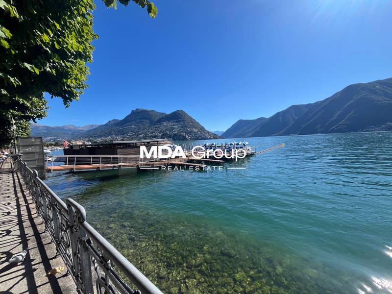 Appartamento - Lugano (10)