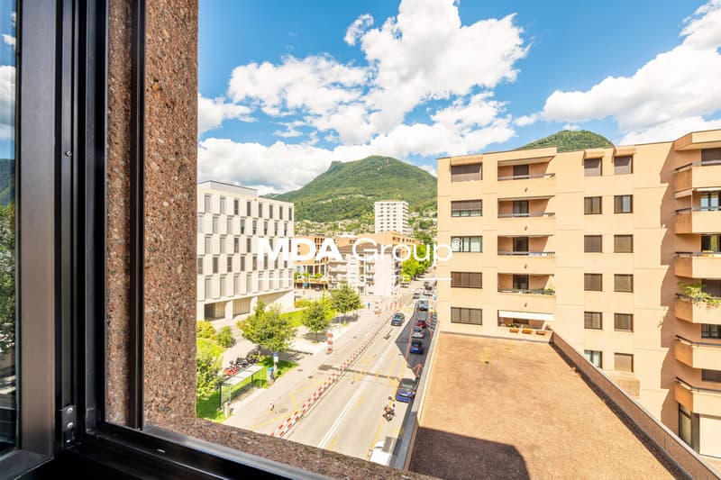 Appartamento - Lugano (4)