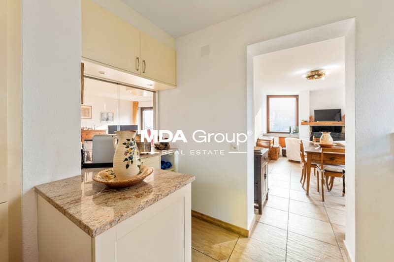 Einfamilienhaus - Collina d'Oro (6)