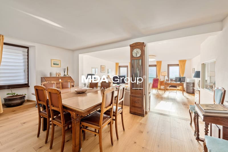 Einfamilienhaus - Collina d'Oro (7)