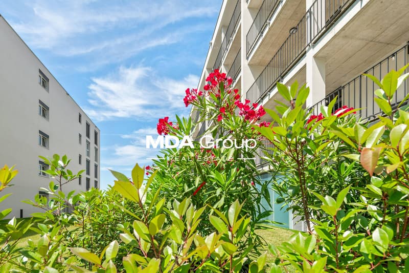 Appartement - Mendrisio (4)