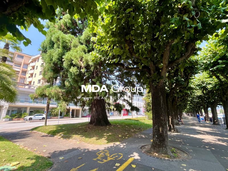 Apartment - Lugano (4)