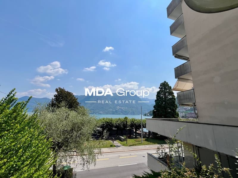 Apartment - Lugano (2)