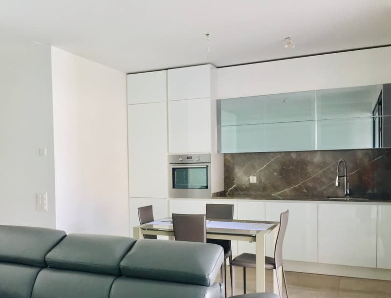 Appartement - Lugano (3)