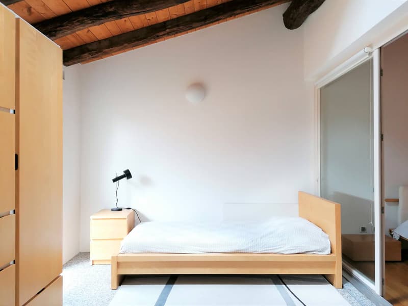 Apartment - Mendrisio (6)