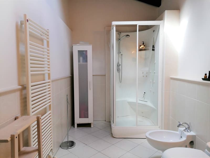 Apartment - Mendrisio (5)