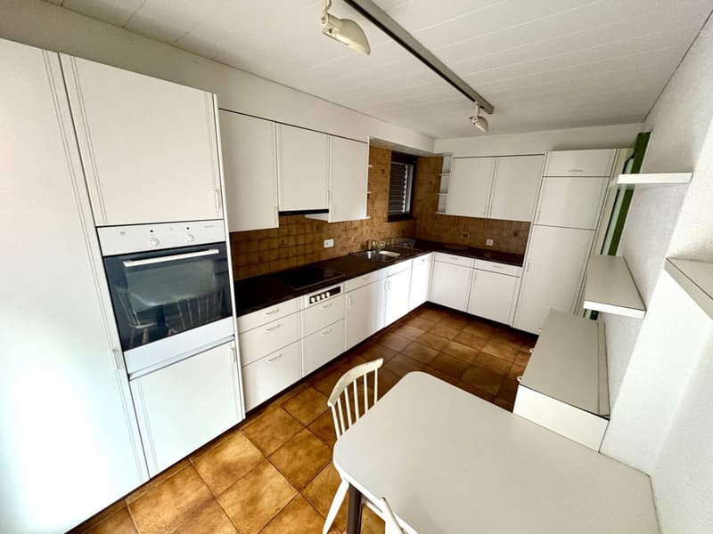 Maison bifamiliale - Bellinzona (4)