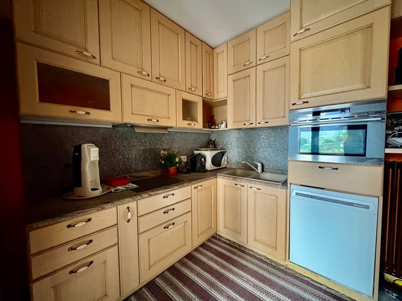 Maison bifamiliale - Bellinzona (7)