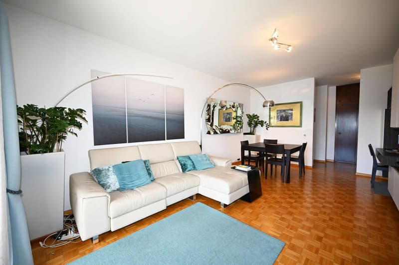 Appartement - Castagnola (5)