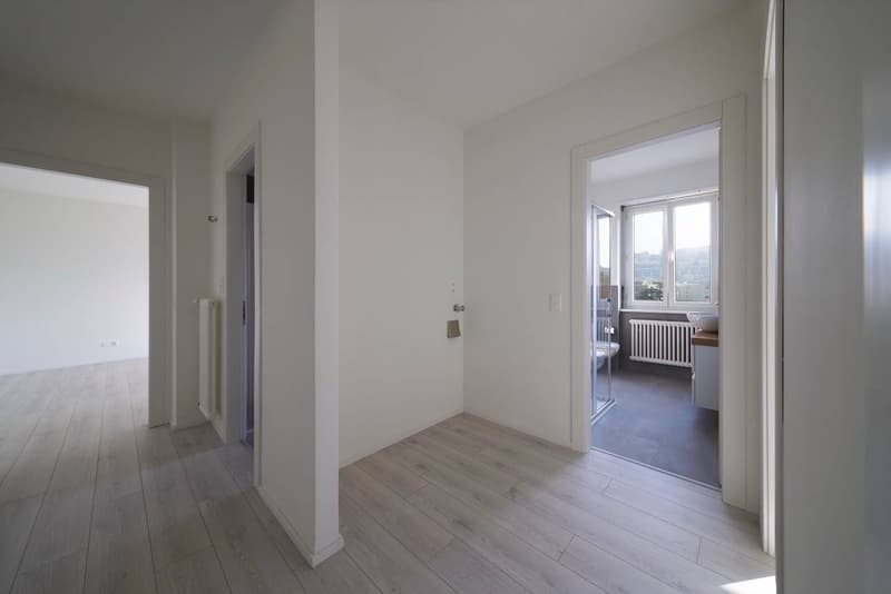 Appartamento - Chiasso (5)