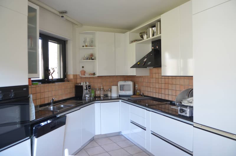 Einfamilienhaus - Lugano (5)