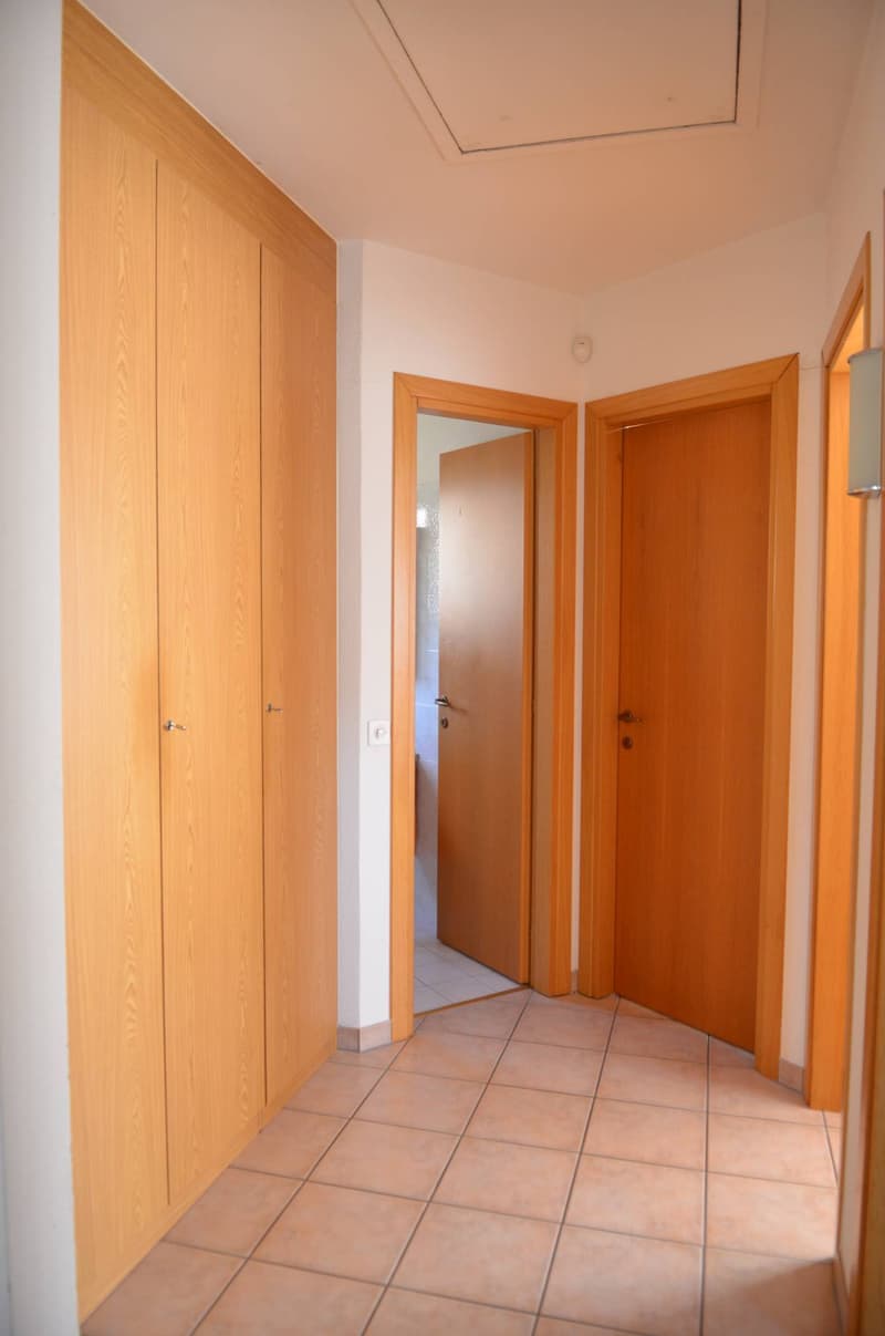 Einfamilienhaus - Lugano (8)