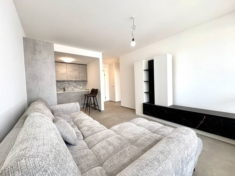 Apartment - Chiasso (2)
