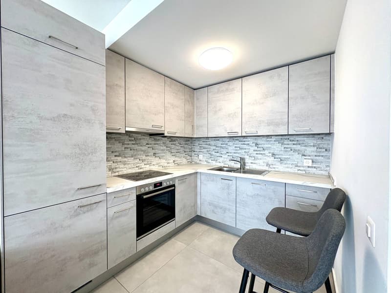 Apartment - Chiasso (3)