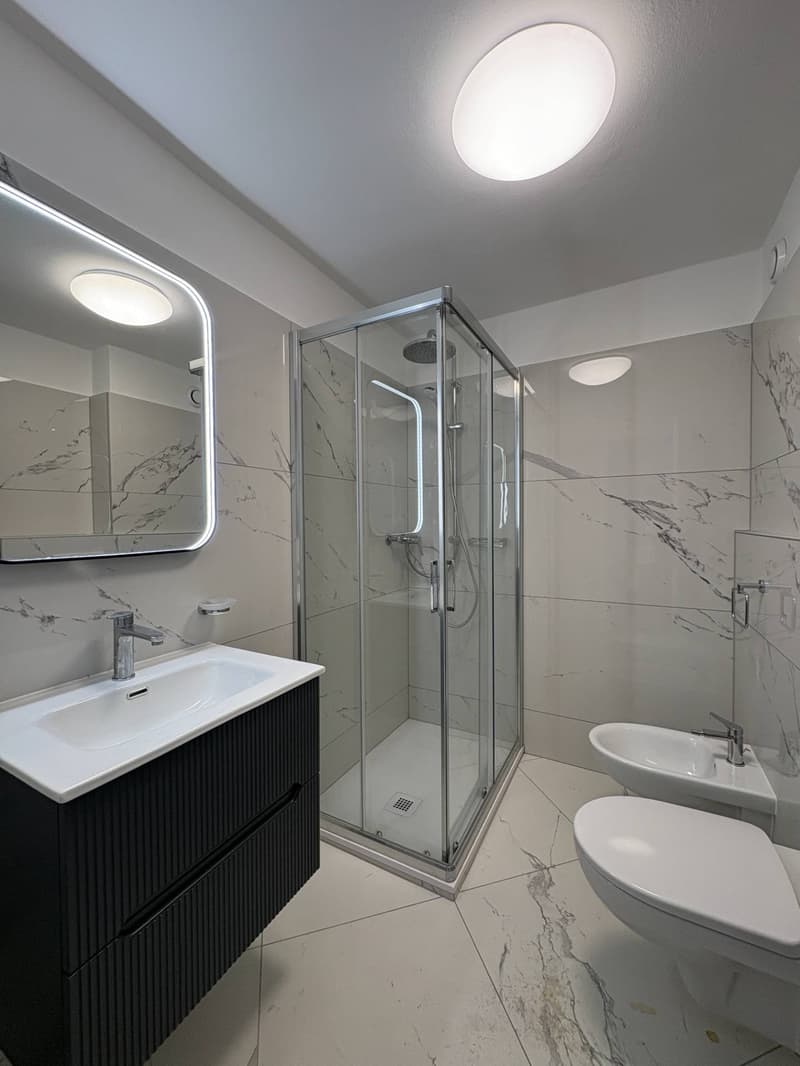 Apartment - Chiasso (4)
