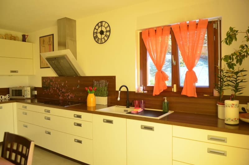 Casa unifamiliare - Morbio Inferiore (7)