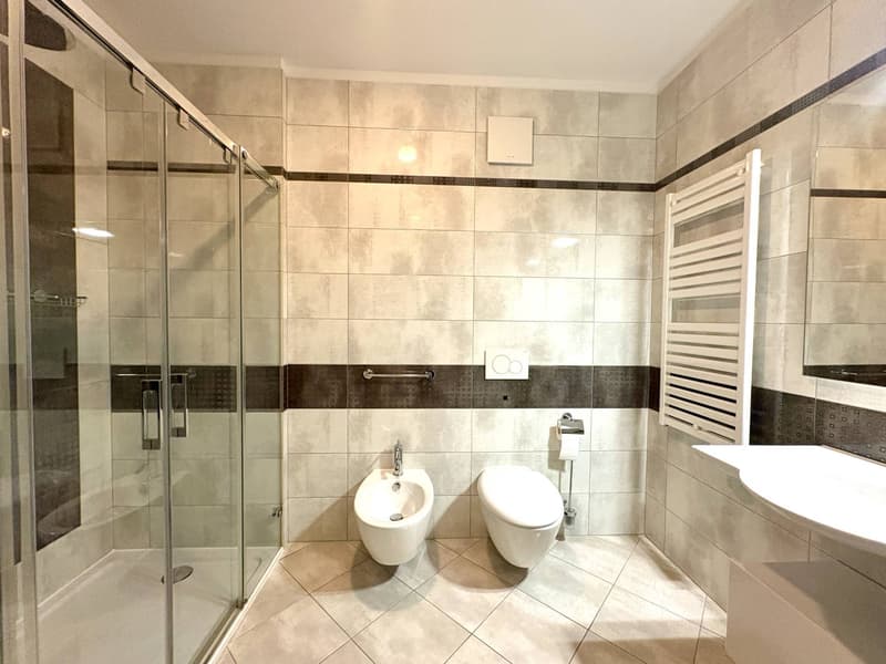 Apartment - Viganello (5)