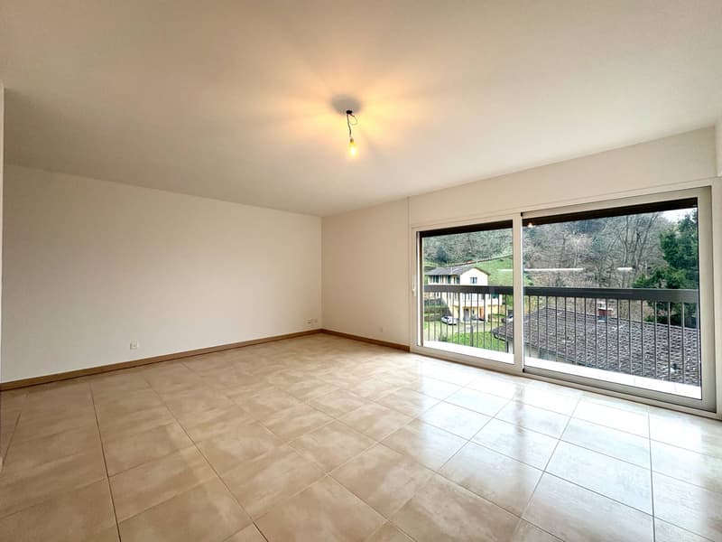 Apartment - Viganello (2)