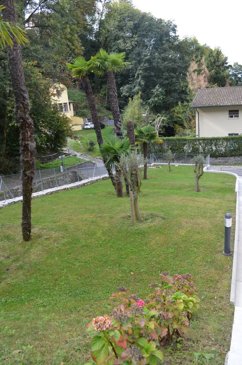 Apartment - Viganello (8)