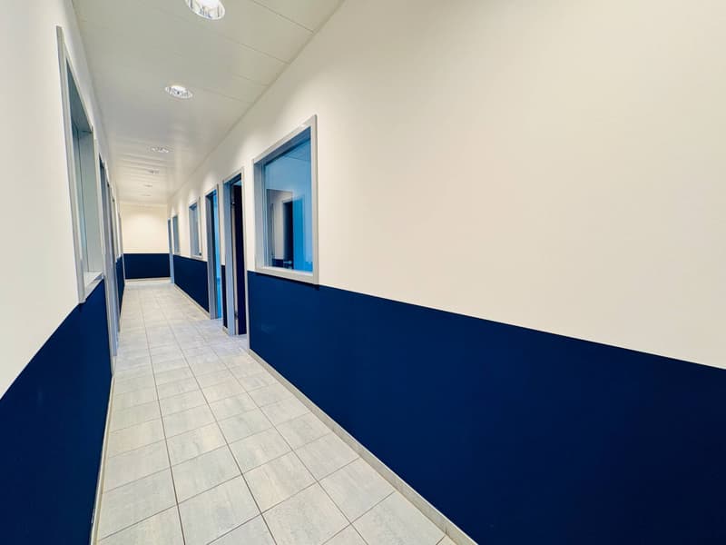 Office - Gravesano (9)