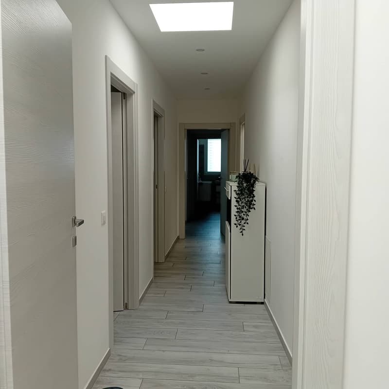 Semi-detached house - Bellinzona (9)