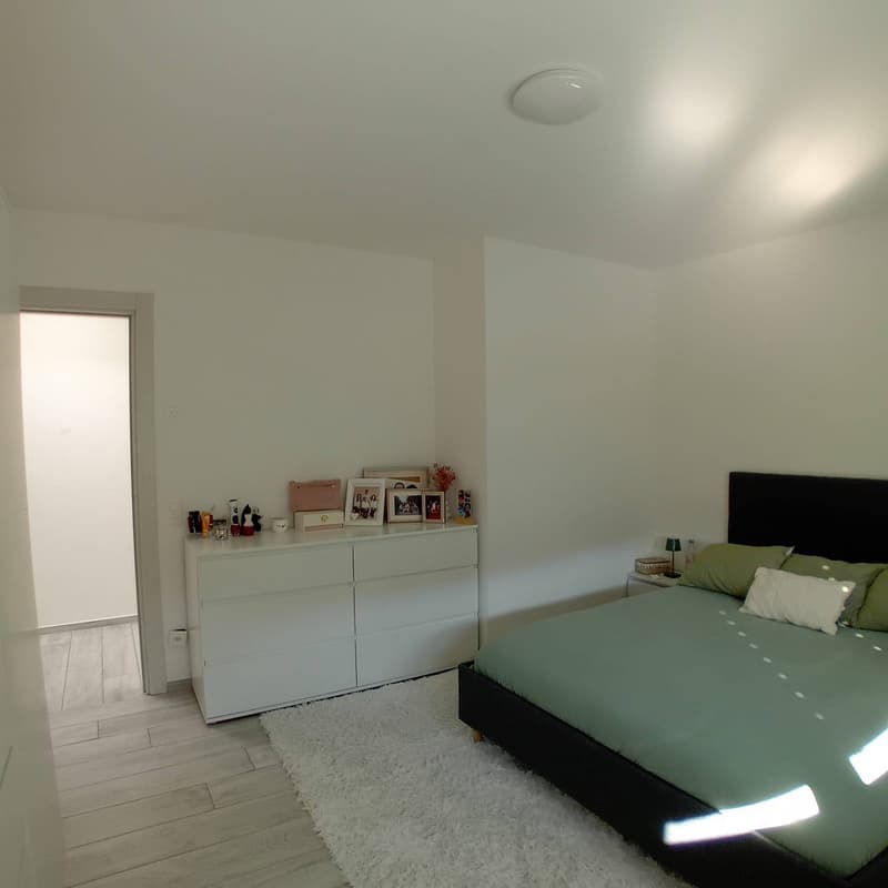 Semi-detached house - Bellinzona (6)