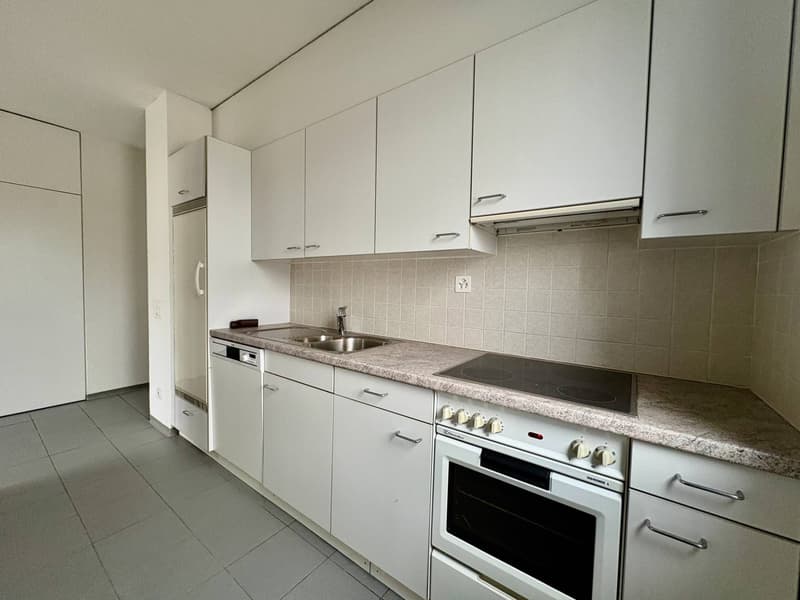 Appartamento - Chiasso (3)
