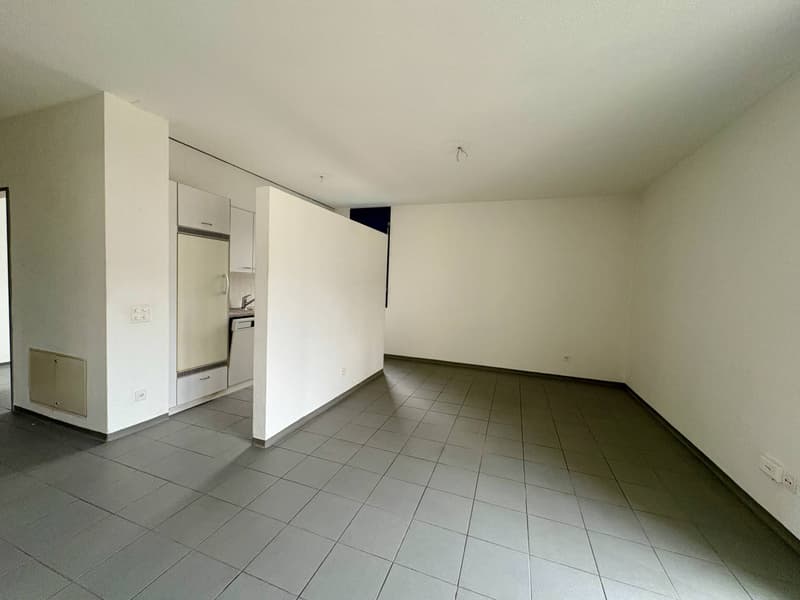 Appartamento - Chiasso (2)