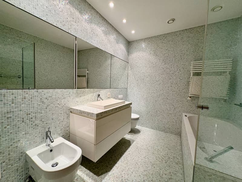 Apartment - Lugano (10)