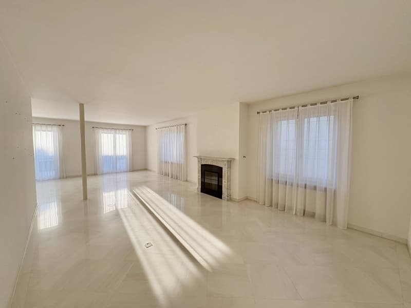 Apartment - Lugano (2)