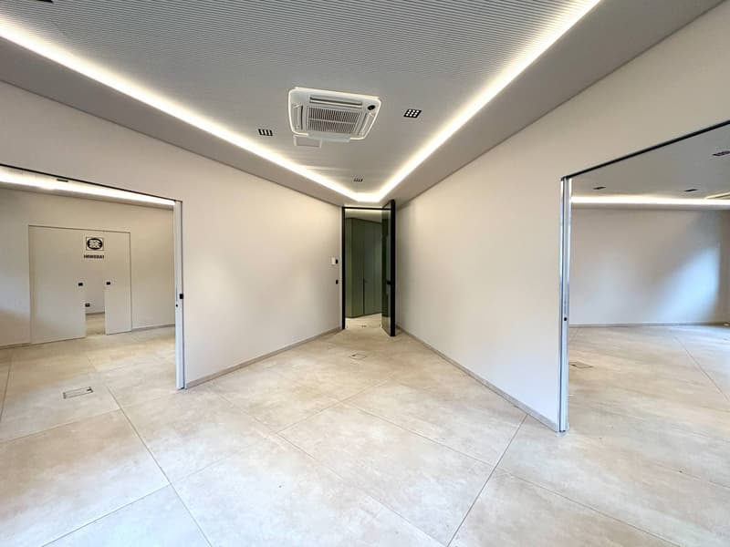 Office - Lugano (10)