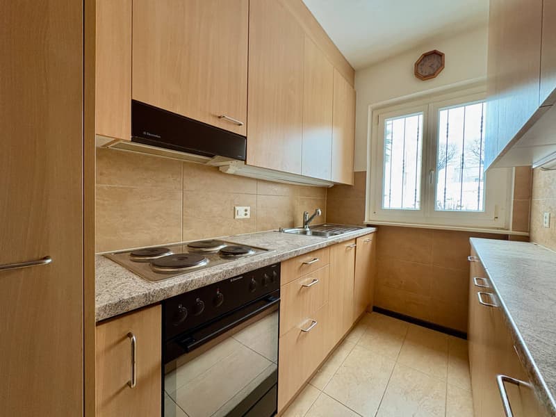 Maison bifamiliale - Comano (3)