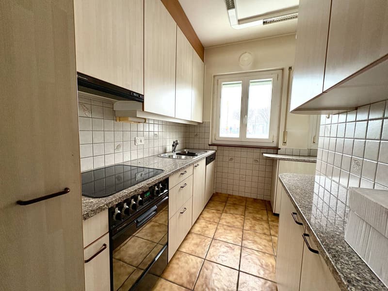 Maison bifamiliale - Comano (10)