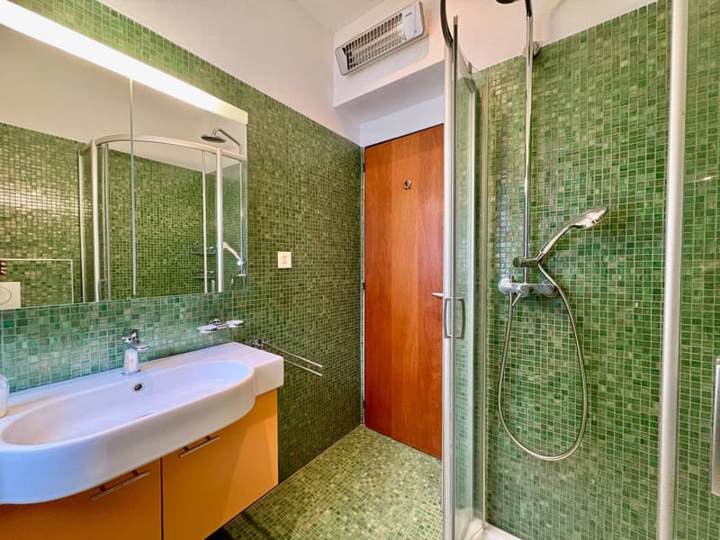 Maison bifamiliale - Comano (5)