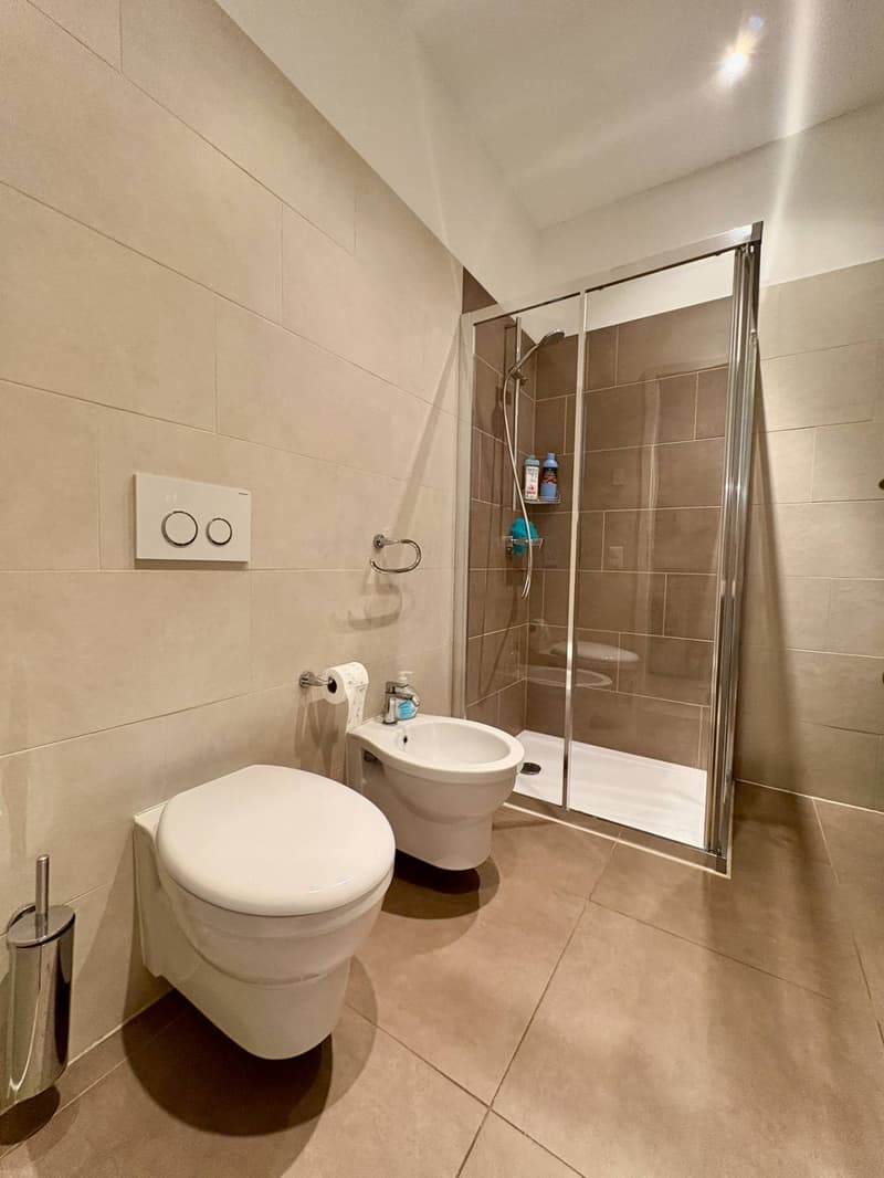 Apartment - Lugano (7)