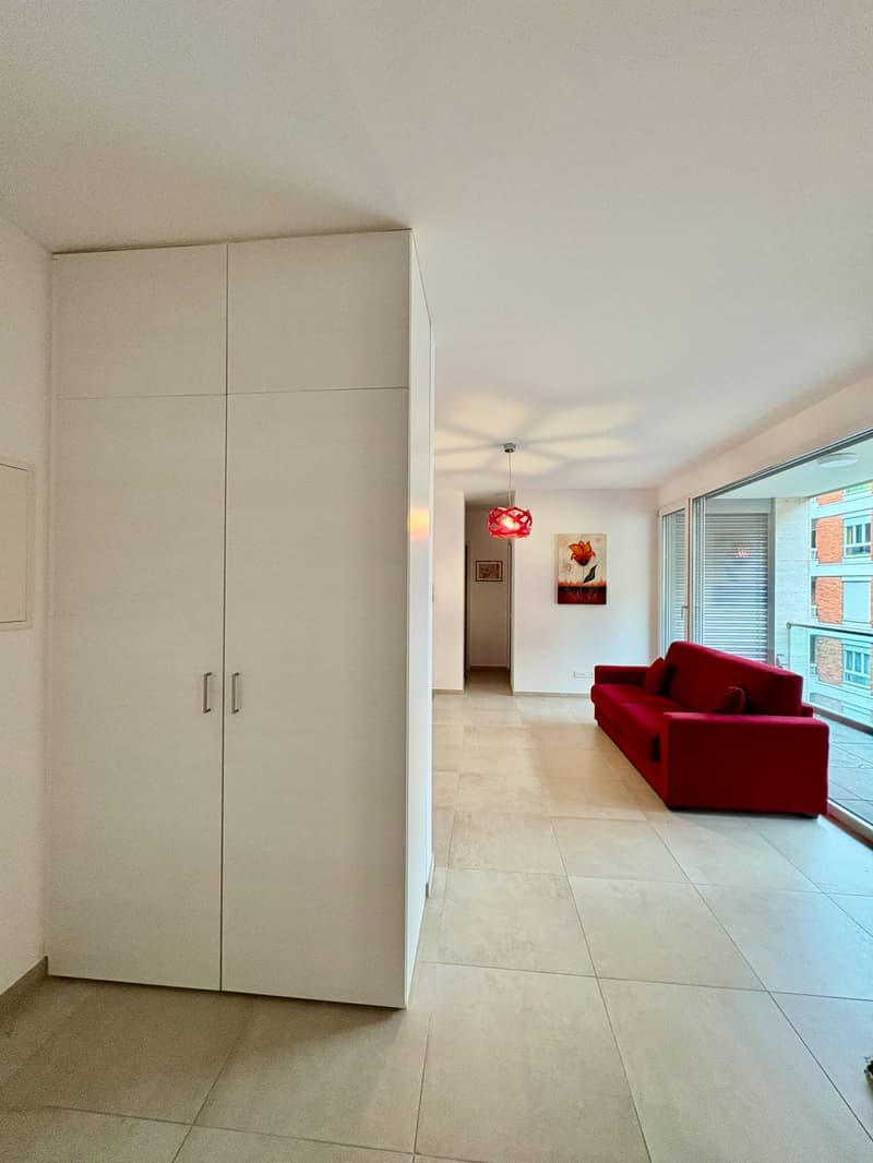Apartment - Lugano (4)
