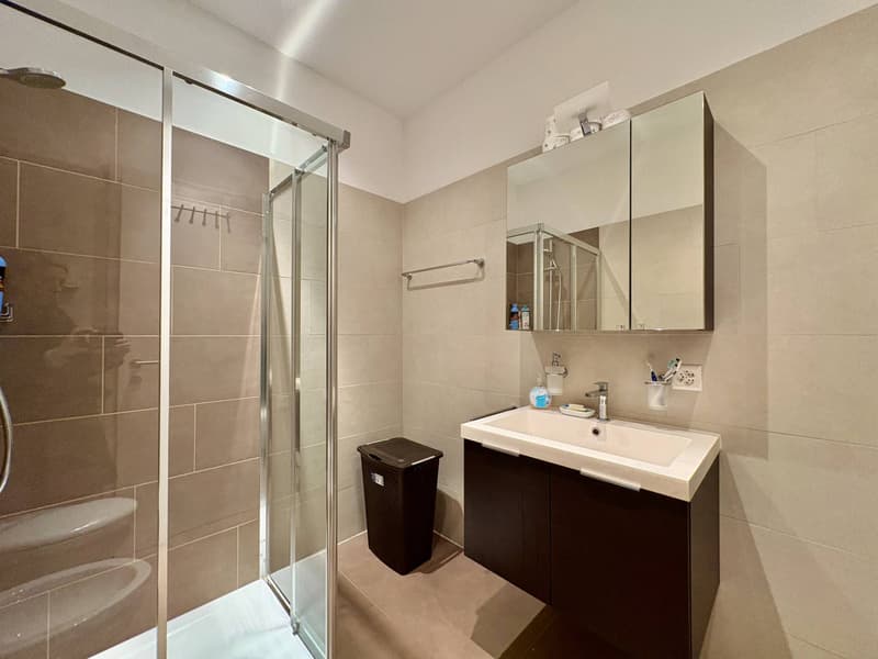 Apartment - Lugano (6)