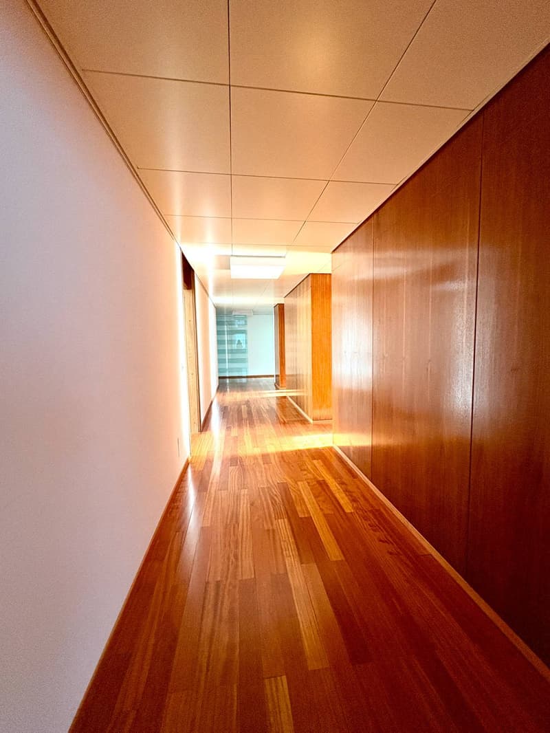 Büro - Lugano (4)