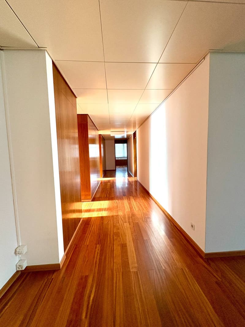 Büro - Lugano (9)
