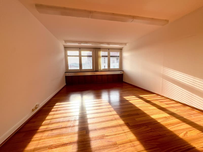 Büro - Lugano (7)